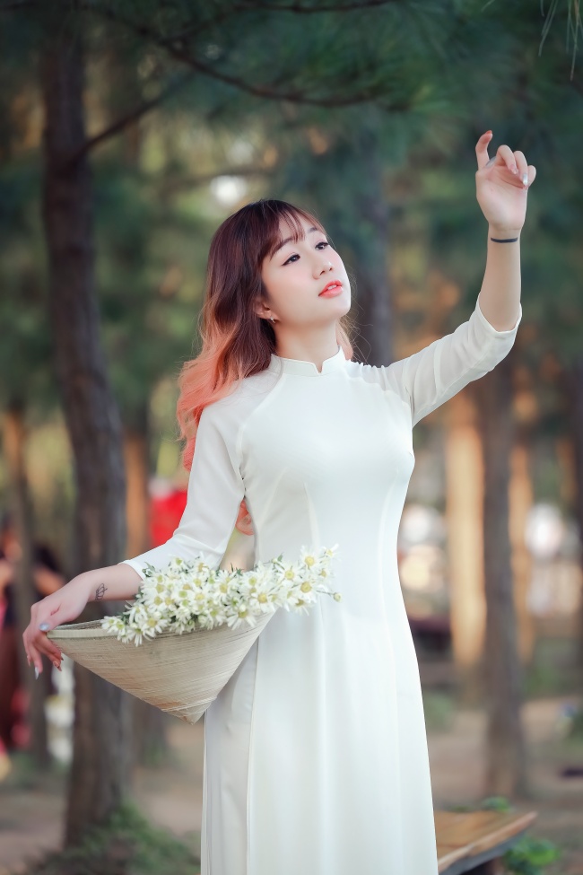 152网主 黑色大丽花